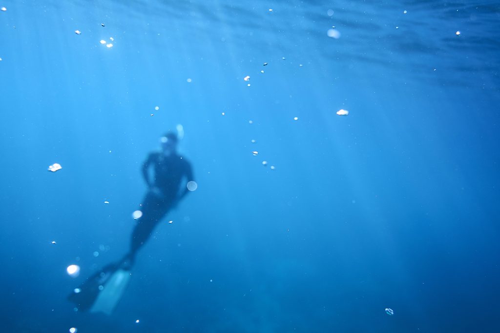 AdamahVayu Apnea Atlantik Freediving Yoga vacation Urlaub Algarve Pool B&B Bed and breakfast