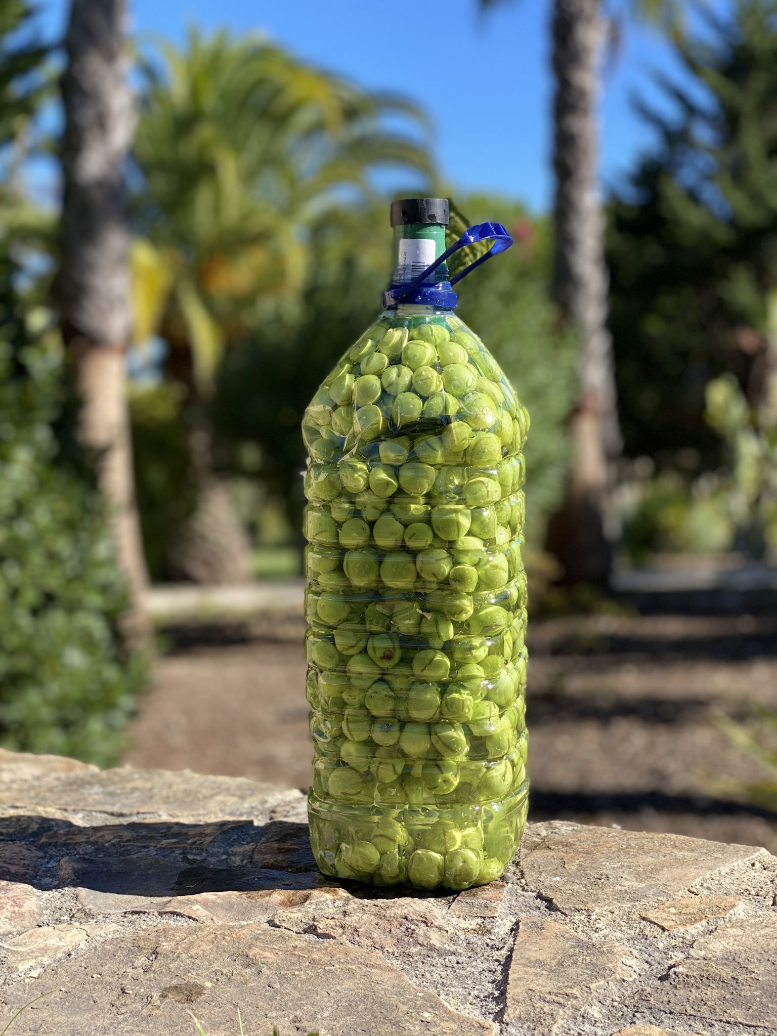 AdamahVayu Yoga Garten vacation Urlaub Fruits Algarve Pool B&B Bed and breakfast