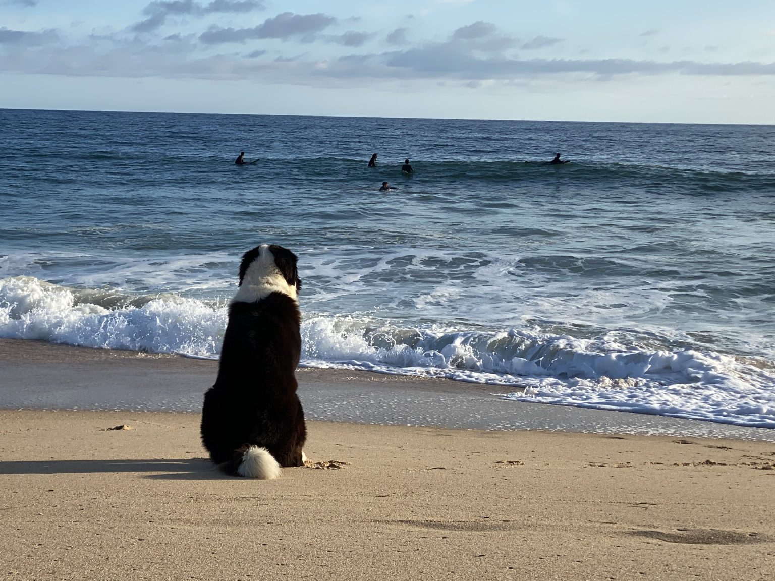 AdamahVayu Algarve Portugal Surf Kitesurfing SUP Standup paddle Yoga vacation Dolphin Urlaub Algarve No Plastic Ocean Pool B&B Bed and breakfast